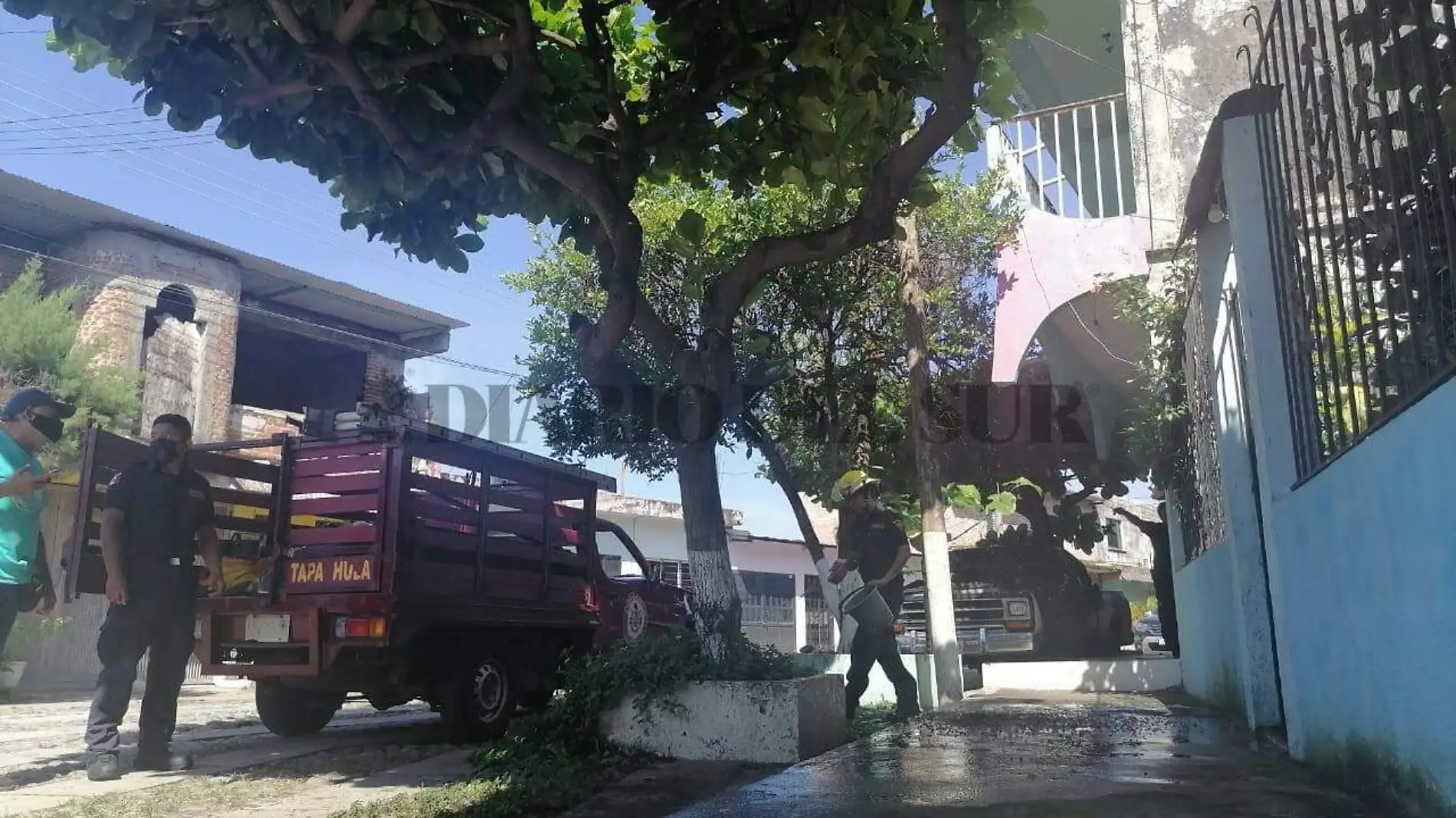 bomberos contra panal de avejas 1 (1)